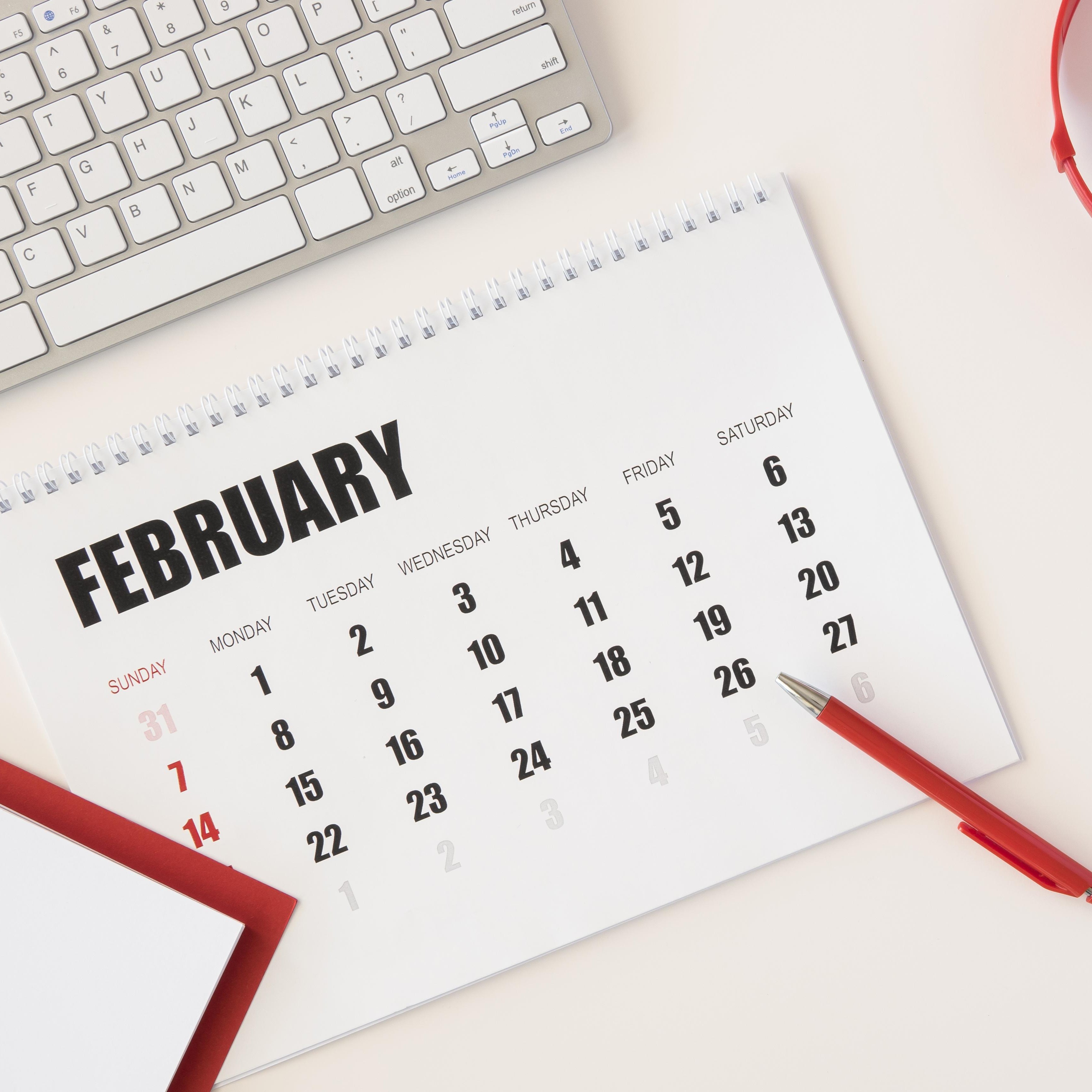 Monthly Flower - 2월