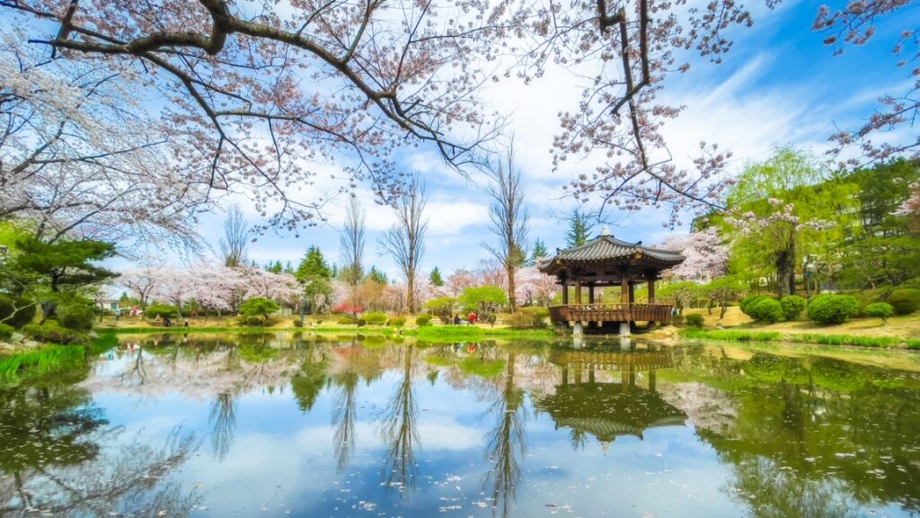 올 봄, 벚꽃 보러 어디 가세요? 꼭 한 번은 가봐야 할 명소 Top 5