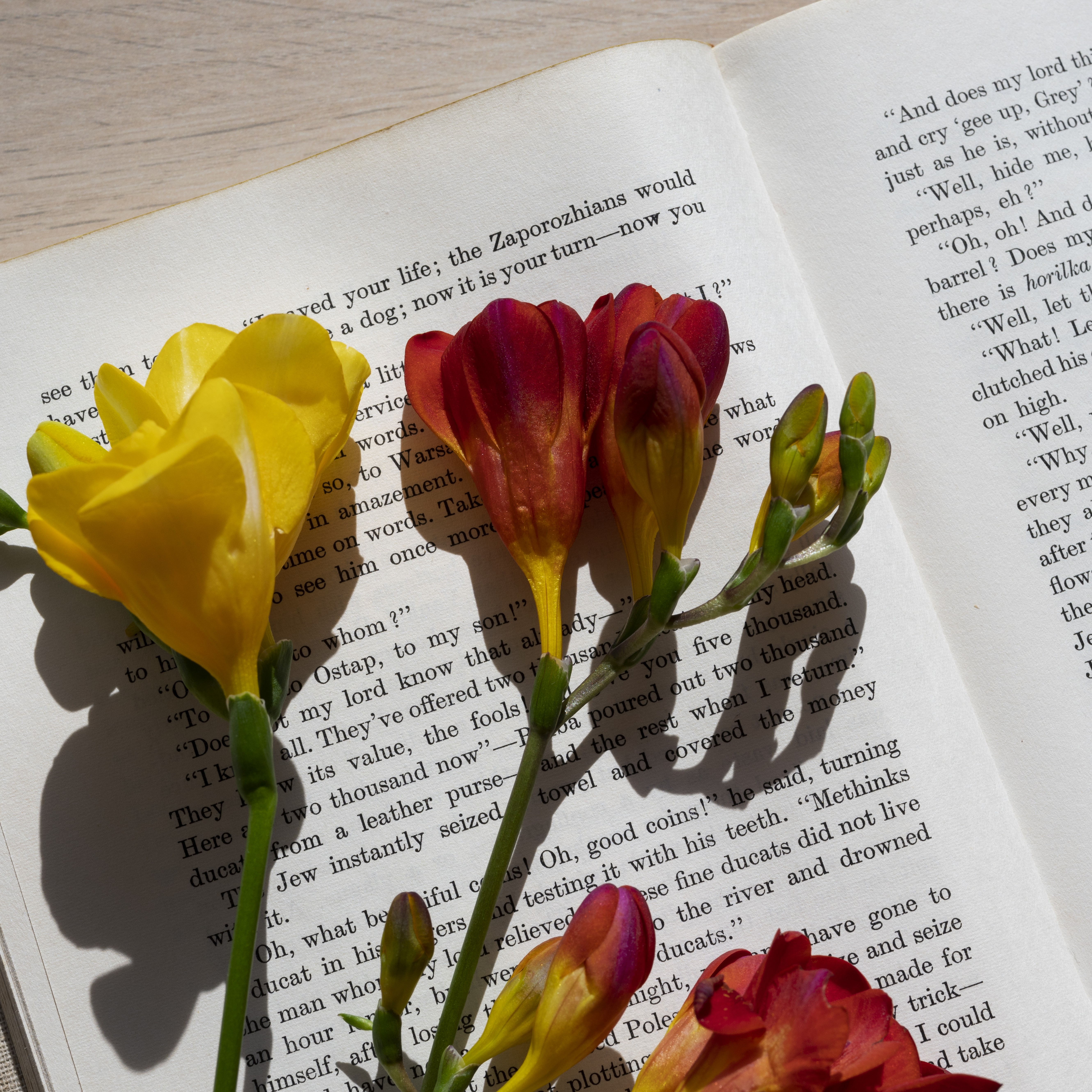 삼식이삼촌이 알려주는 화환, 꽃 선물의 역사